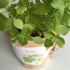 Garden in a Bag- Basil