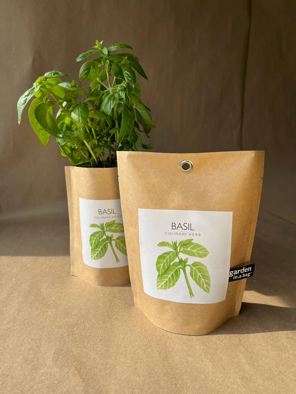 Garden in a Bag- Basil
