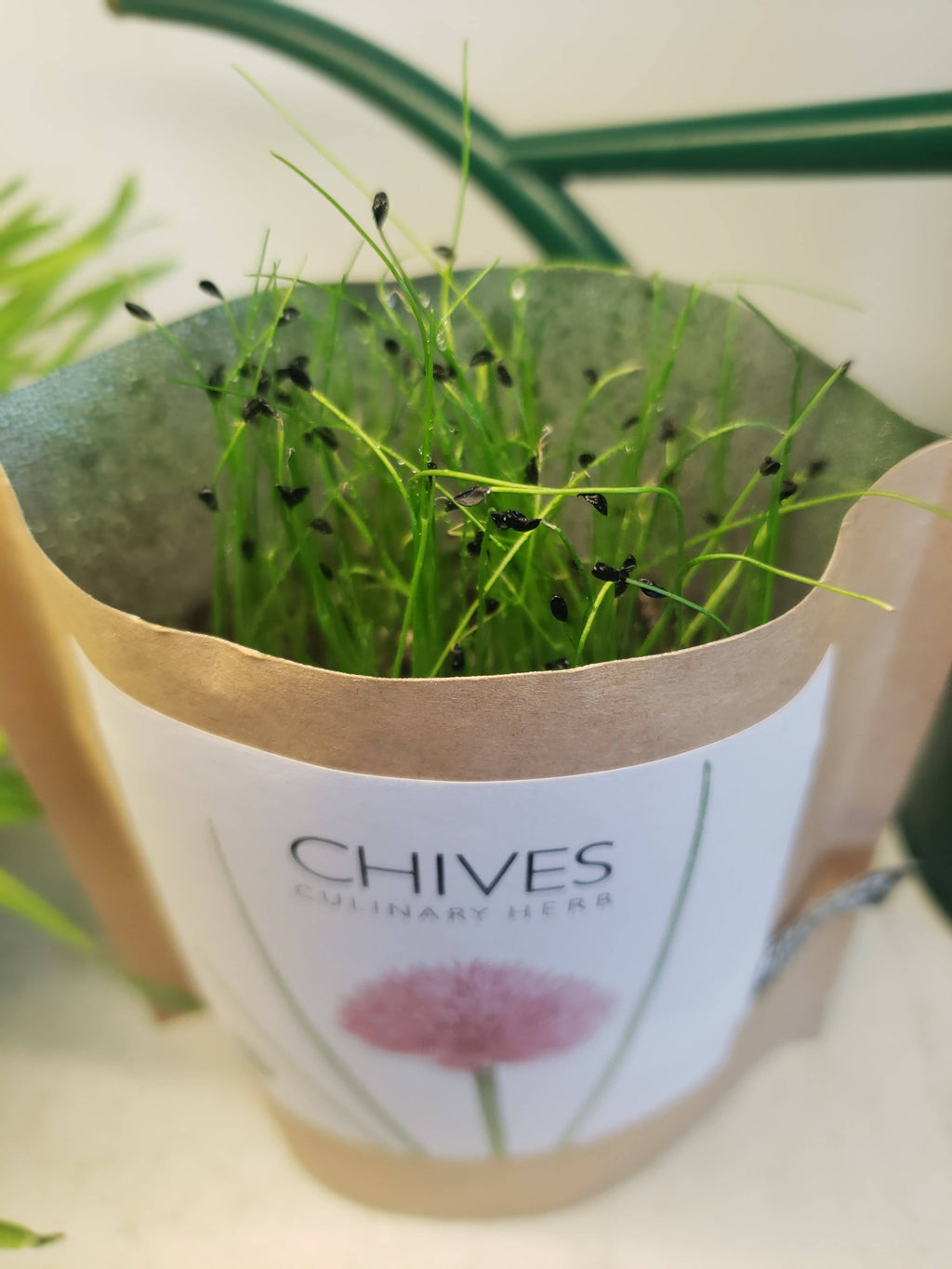 Garden in a Bag- Chives