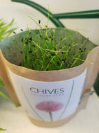 Garden in a Bag- Chives