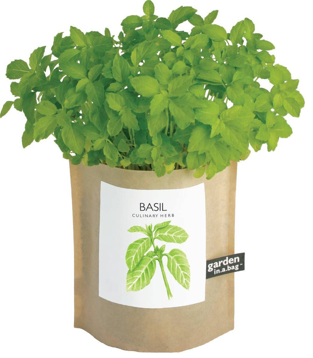 Garden in a Bag- Basil