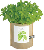 Garden in a Bag- Basil