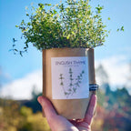 Garden in a Bag- English Thyme