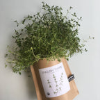 Garden in a Bag- English Thyme