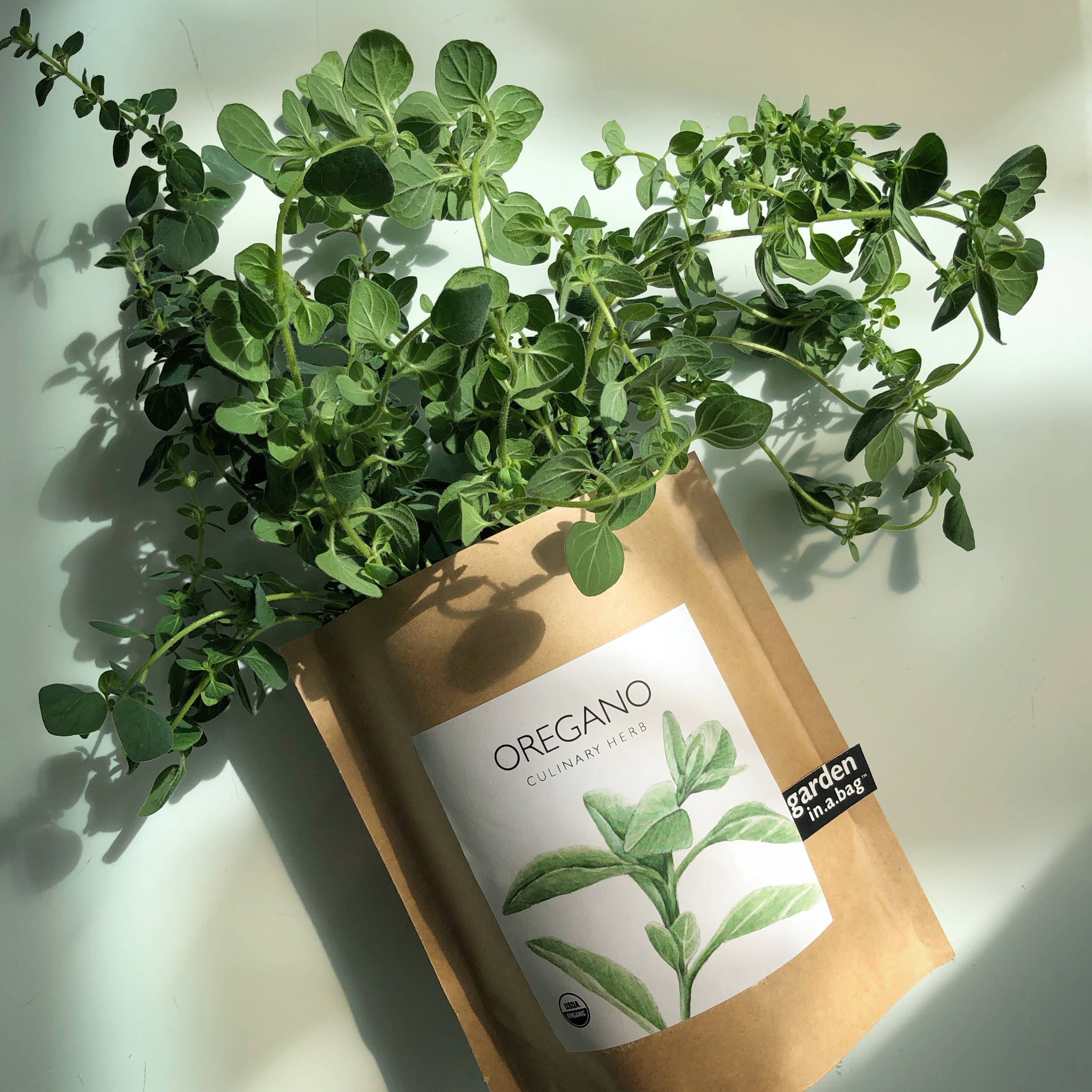 Garden in a Bag- Oregano