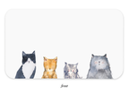 Cat's Meow Little Notes® – Mini Notecard Pack, Set of 55
