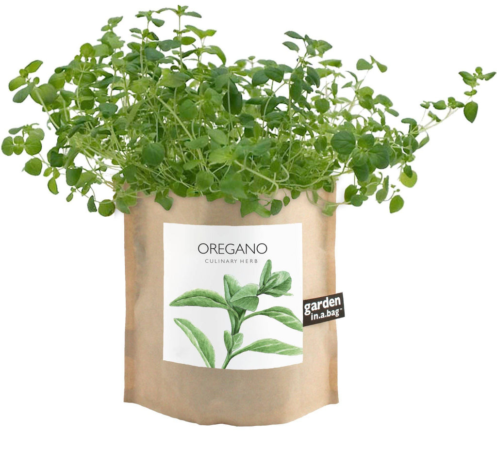 Garden in a Bag- Oregano