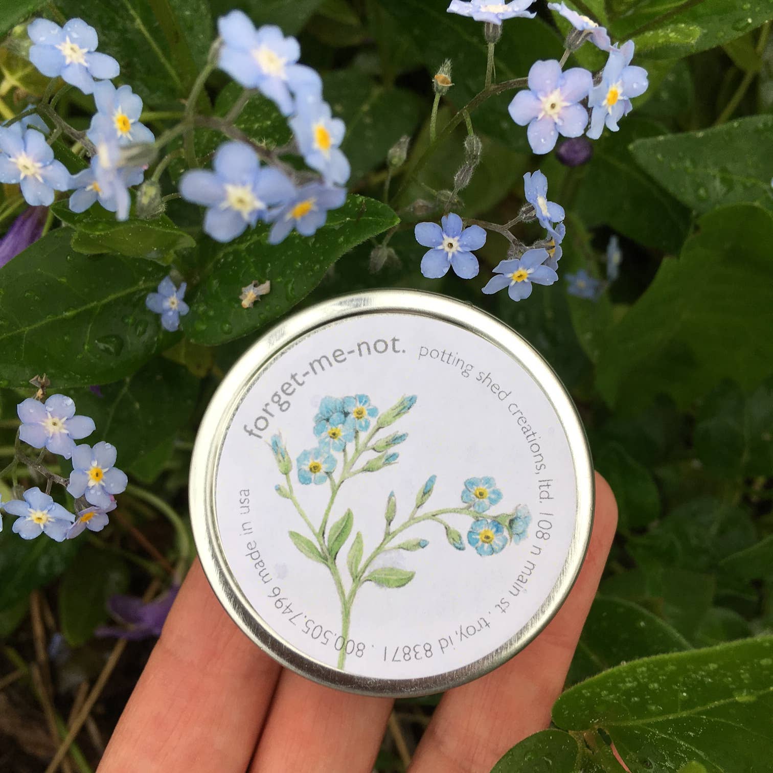 Spring Garden Sprinkles