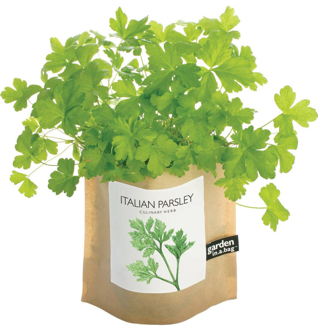 Garden in a Bag- Italian Parsley
