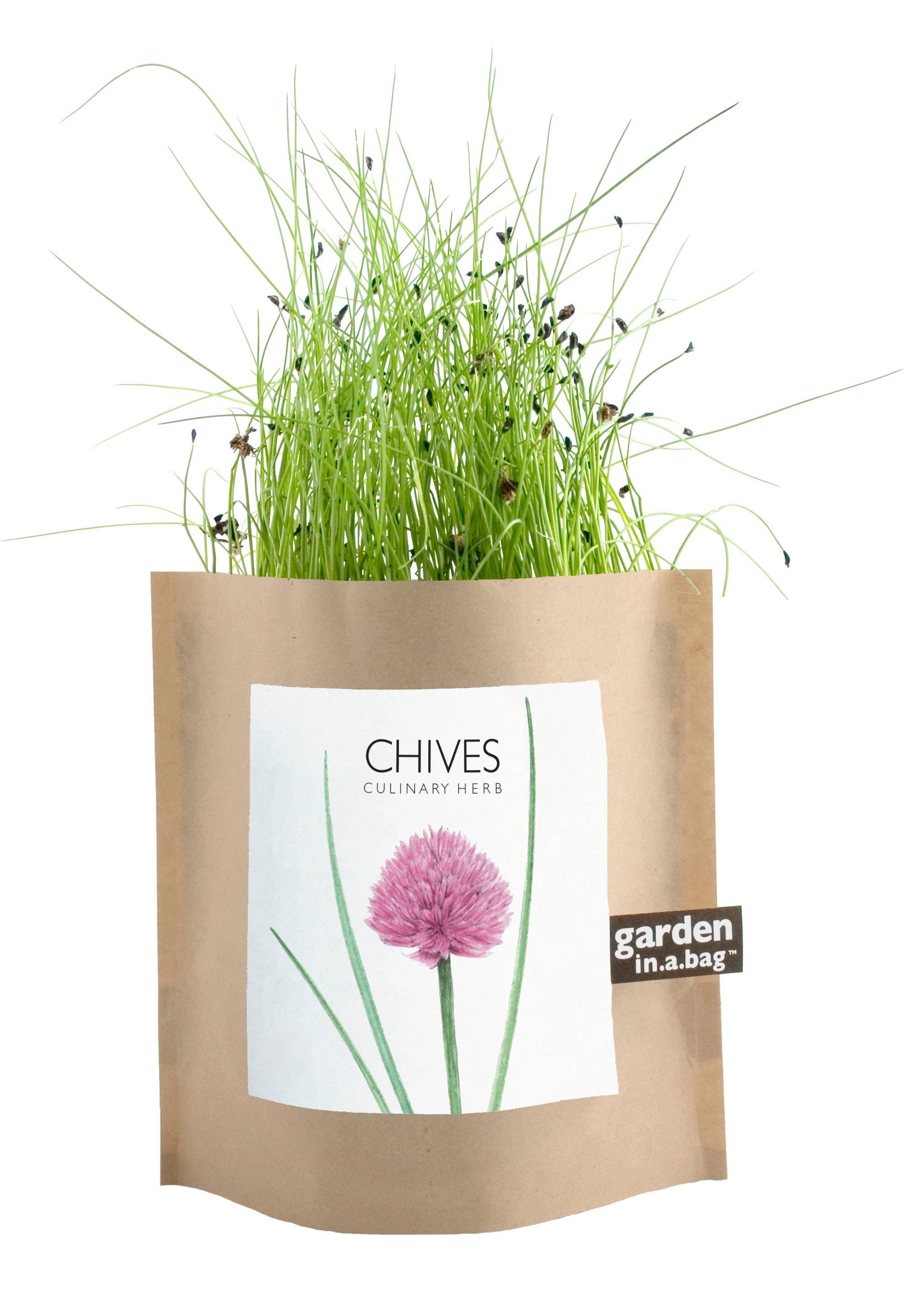 Garden in a Bag- Chives