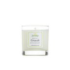 GROWTH CANDLE